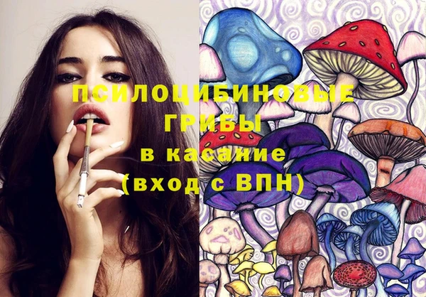 кокс Баксан