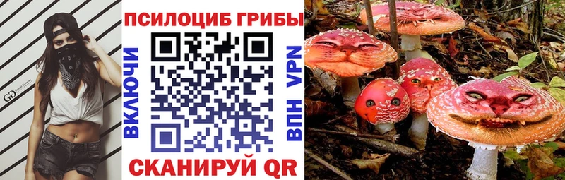 Псилоцибиновые грибы мухоморы блэк спрут ССЫЛКА Серов